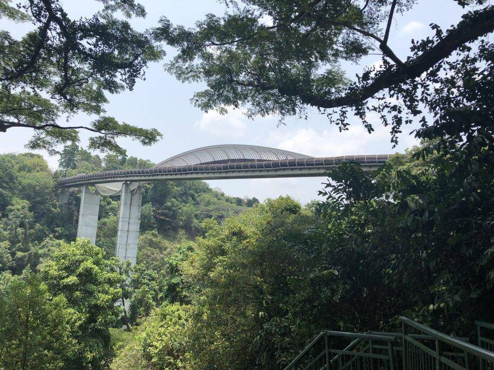 potret Henderson Waves Bridge (instagram.com/ianrmccullough)