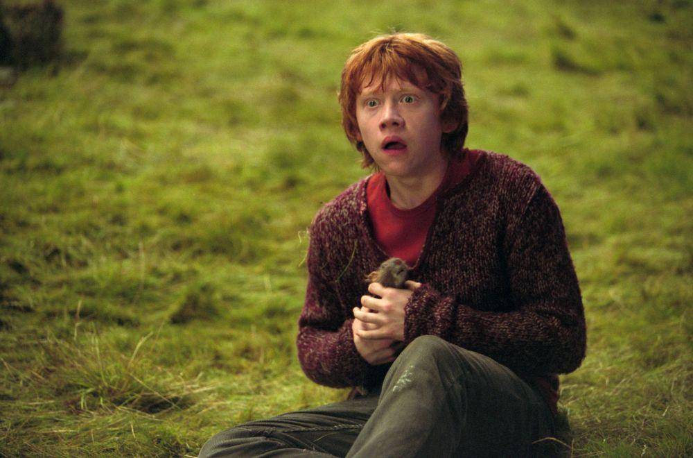 dok. Warner Bros/Harry Potter