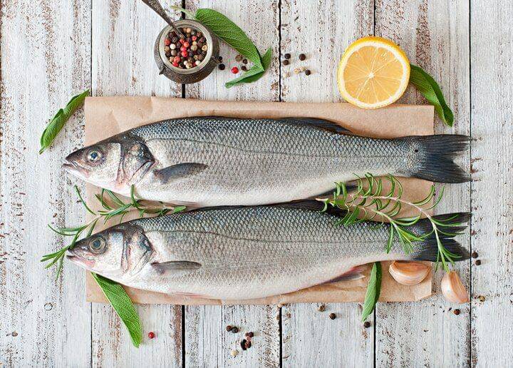 ilustrasi ikan (freepik.com/timolina)