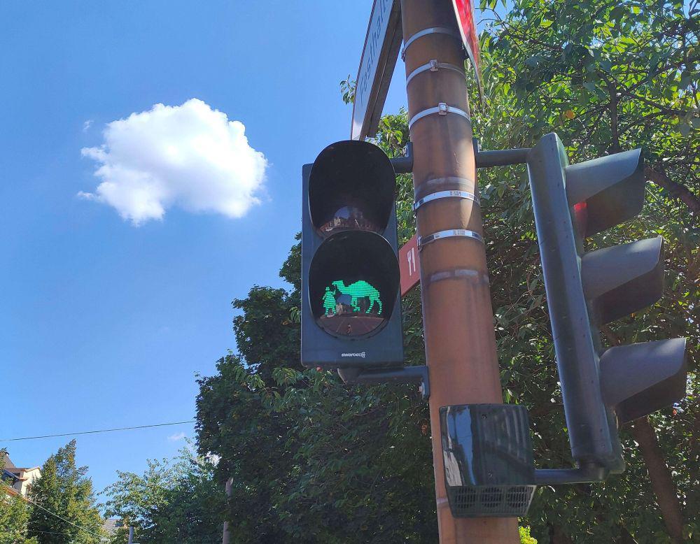 10 Potret Lampu Merah dengan Bentuk Paling Unik, Tampil Beda!