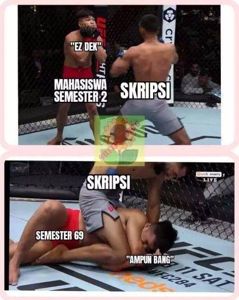meme lika-liku skripsi (facebook.com/sukashitpost)