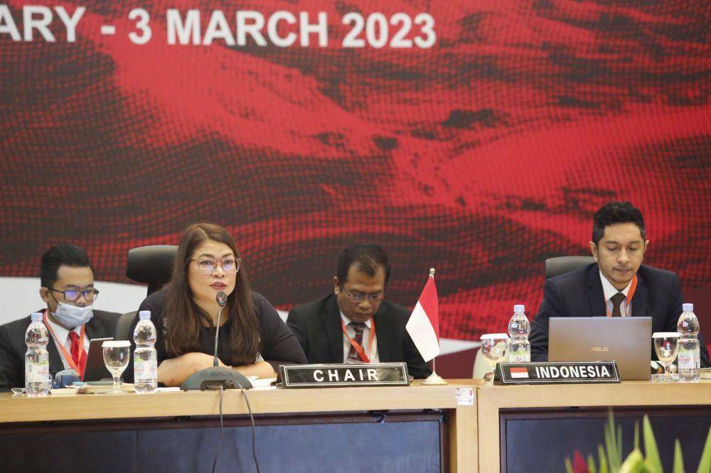 Wakil Indonesia untuk AICHR, Yuyun Wahyuningrum. (dok. Kemlu RI)