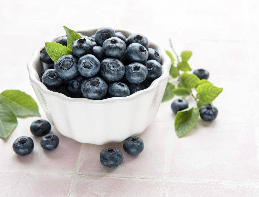 ilustrasi blueberry (vecteezy.com/Елена Рудьо)