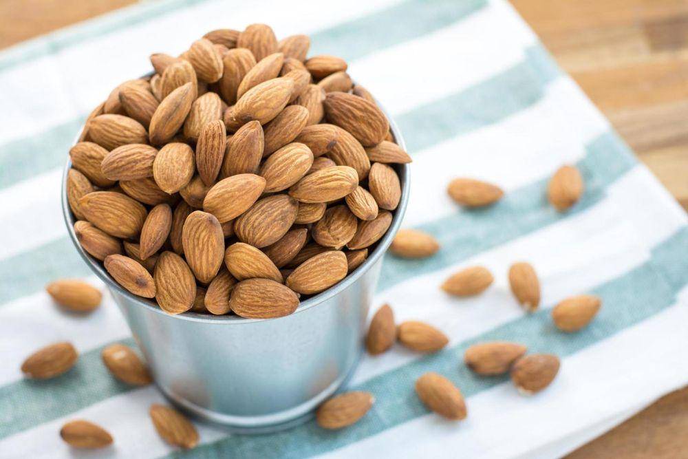 ilustrasi kacang almond (vecteezy.com/jateshutter)