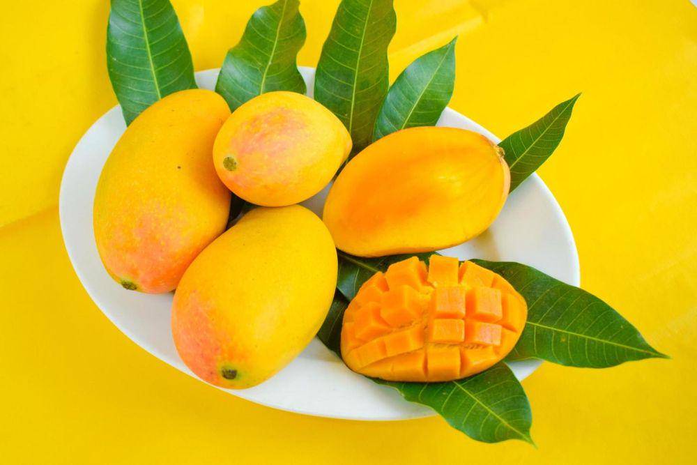 ilustrasi buah mangga (vecteezy.com/syamhri189778)