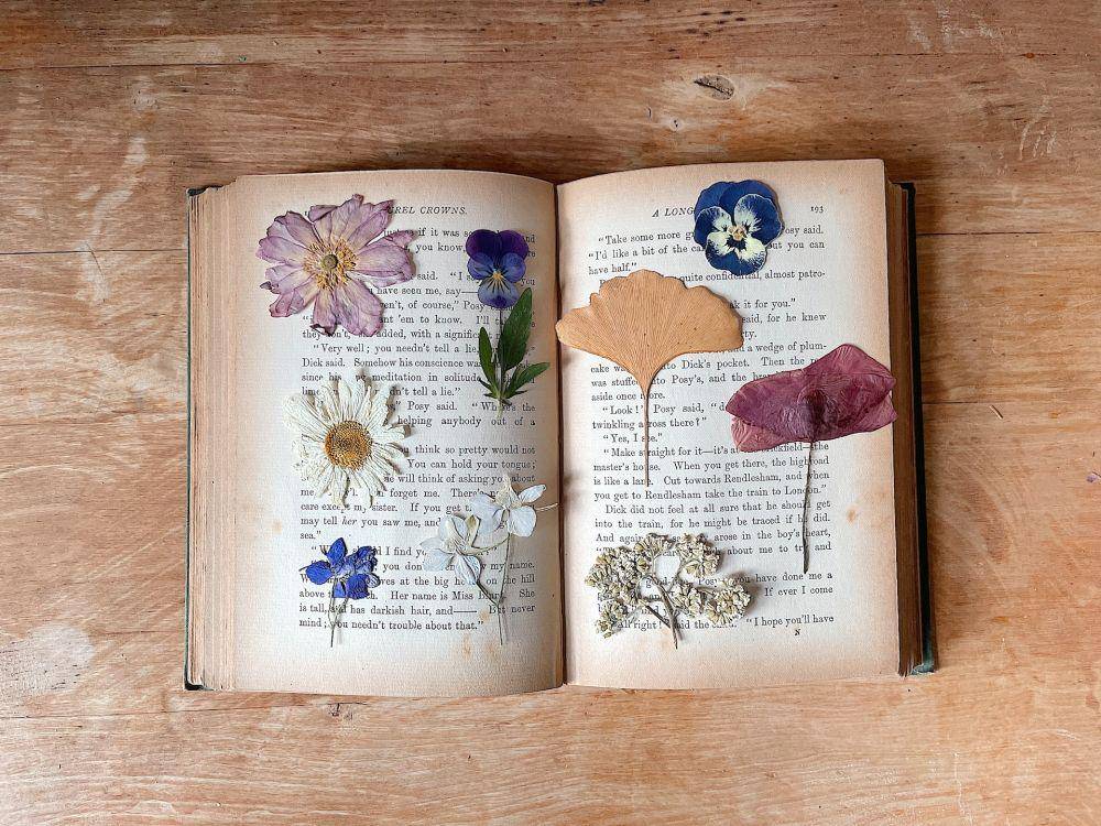 Ilustrasi pembatas buku dari pressed flower (pexels.com/Merve Bayar)