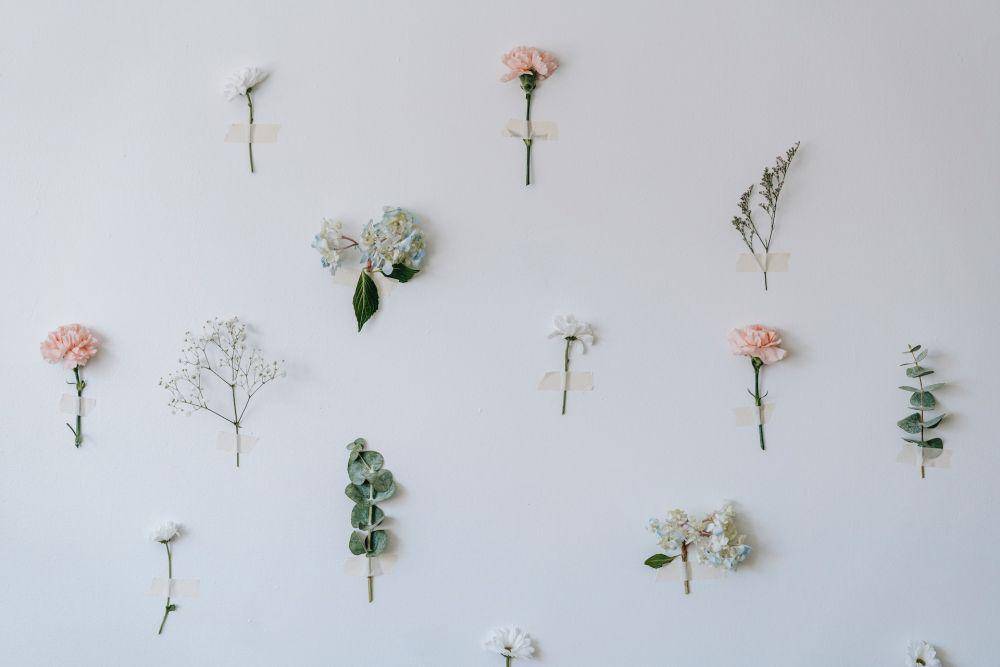 Ilustrasi wall decor dari pressed flower (pexels.com/Teona Swift)