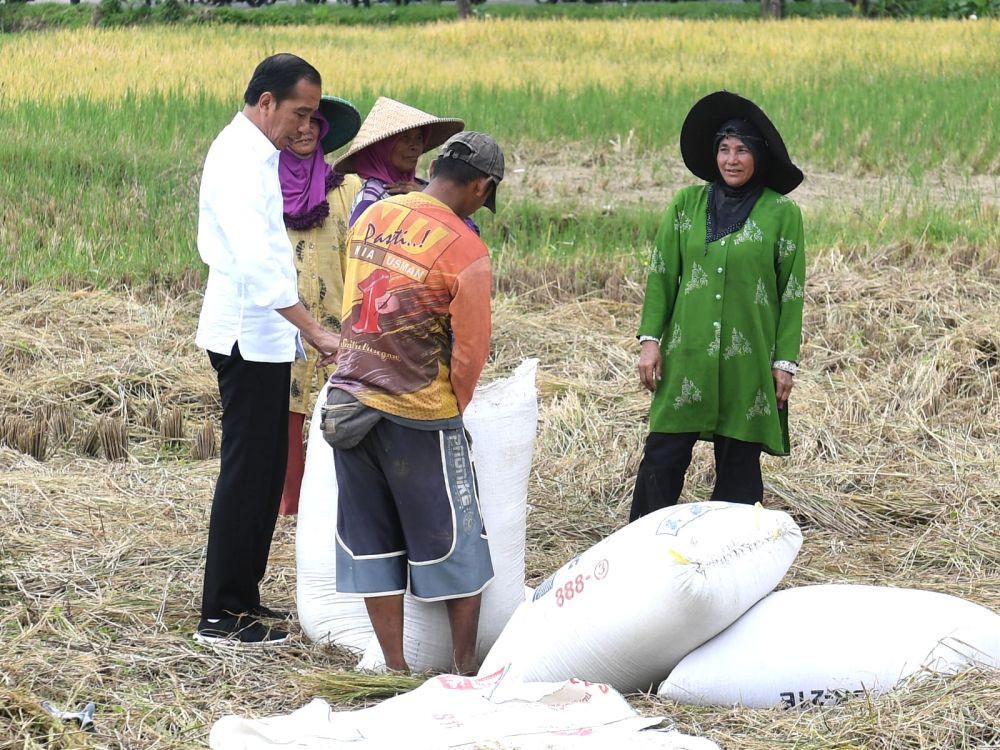 Presiden Jokowi menemui petani yang sedang panen di Kabupaten Bandung, Senin (6/3/2023) (dok. Sekretariat Presiden)