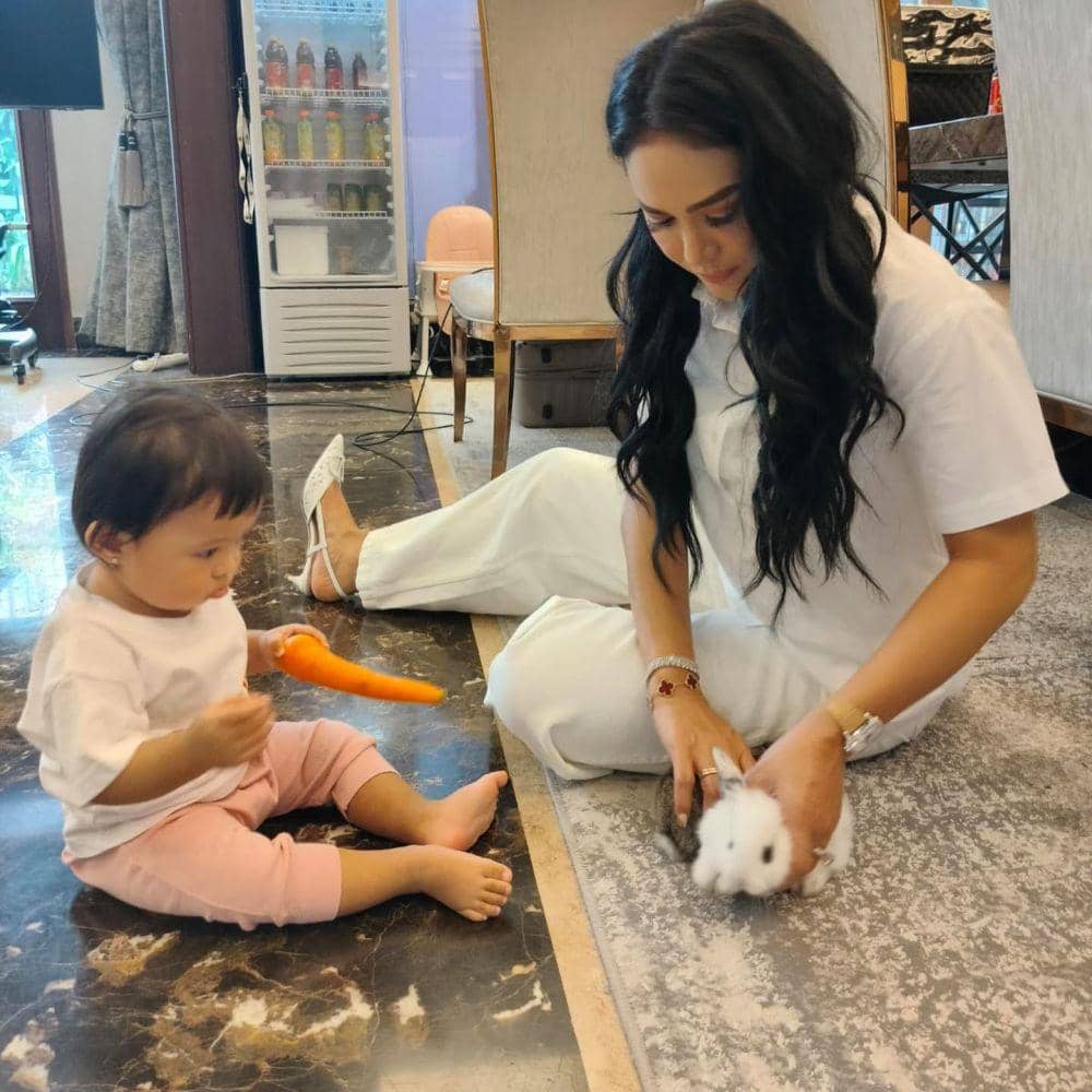 Krisdayanti saat momong Ameena (instagram.com/krisdayantilemos)