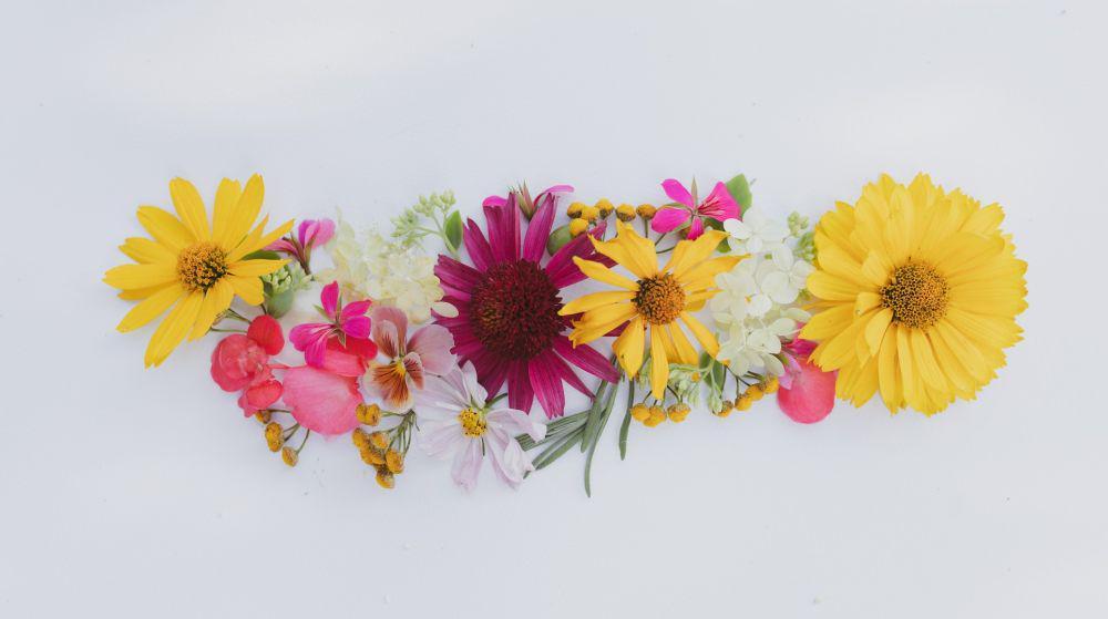 5 Ide DIY dari Pressed Flower, Bisa Jadi Pajangan hingga Scrapbook!