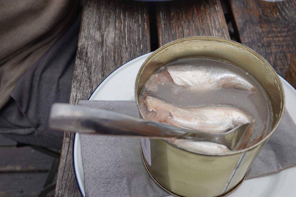 Ilustrasi surströmming (thepeninsulaqatar.com)