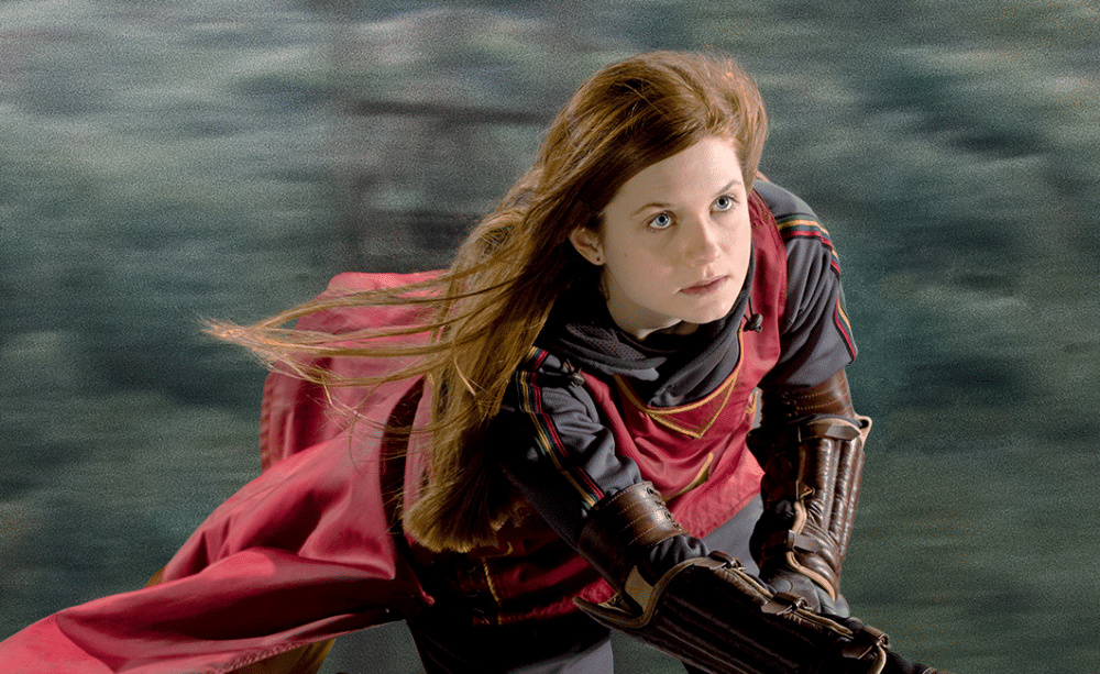 dok. Warner Bros/Harry Potter