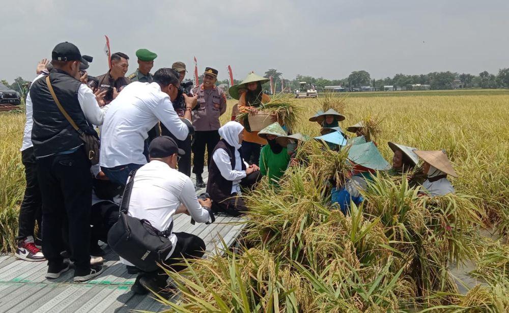 Petani Tuban Curhat ke Gubernur: Kuota Pupuk Agar Ditambah