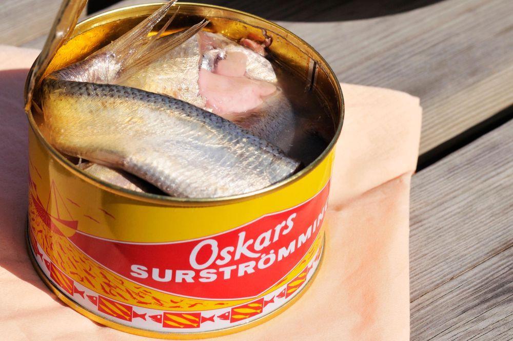 10 Fakta Unik Surstromming, Olahan Fermentasi Ikan Paling Bau di Dunia