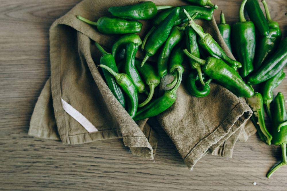 ilustrasi cabai jalapeno (pexels.com/Nataliya Vaitkevich)