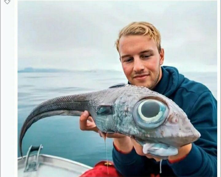 9 Potret Ikan Raksasa Hasil Pancingan, Bisa buat Kasih Makan se-RT