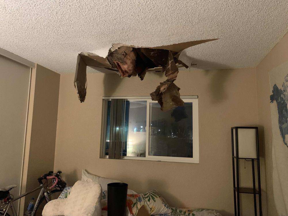 momen apes pas lagi WFH (reddit.com/user/alundi)