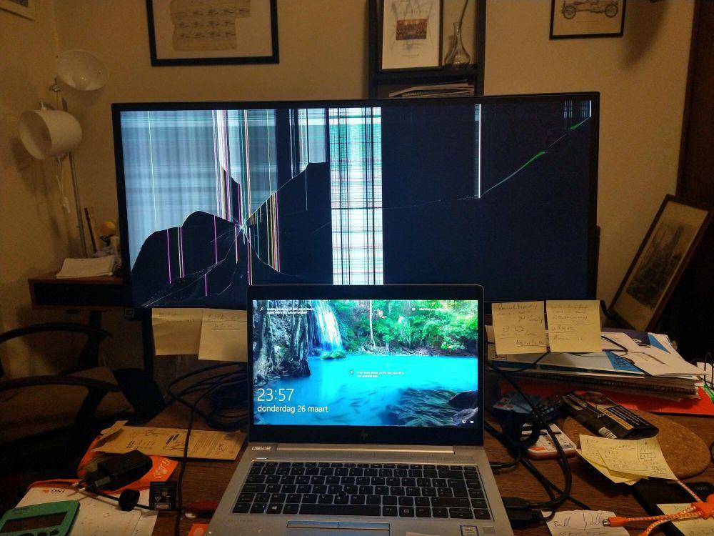 momen apes pas lagi WFH (reddit.com/user/BerryBigFig)