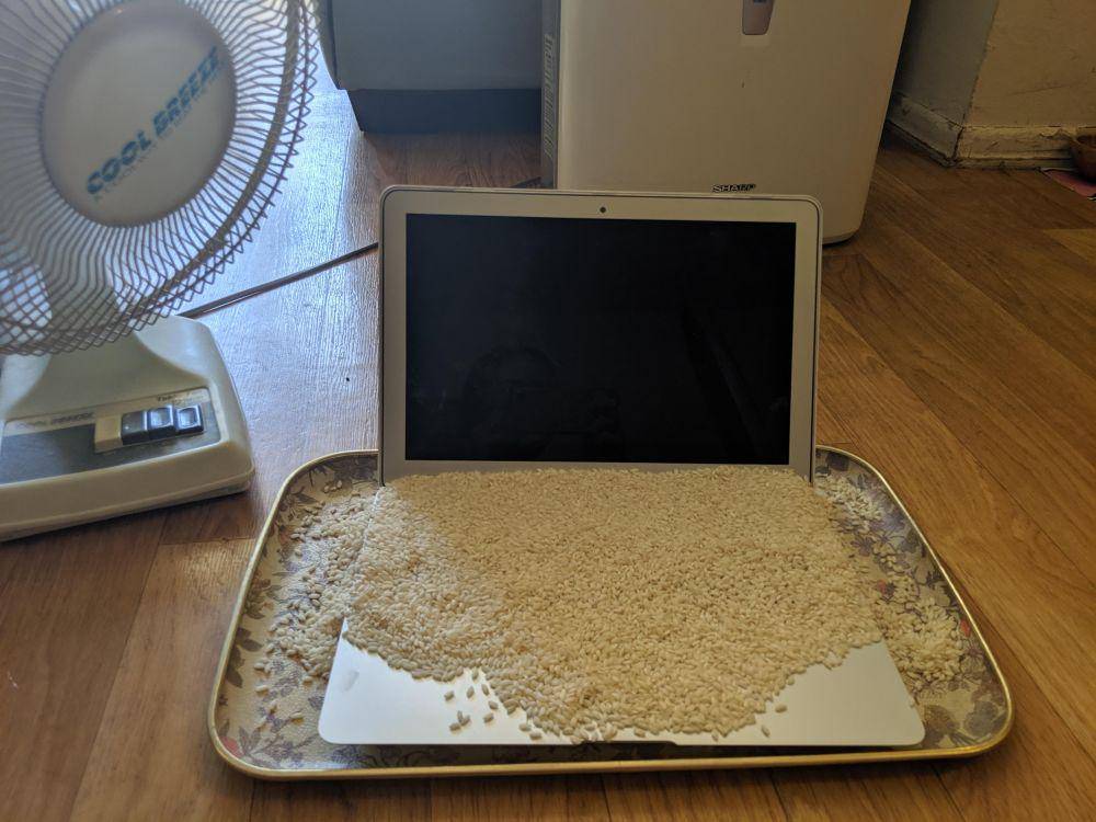 momen apes pas lagi WFH (reddit.com/user/supzuki)