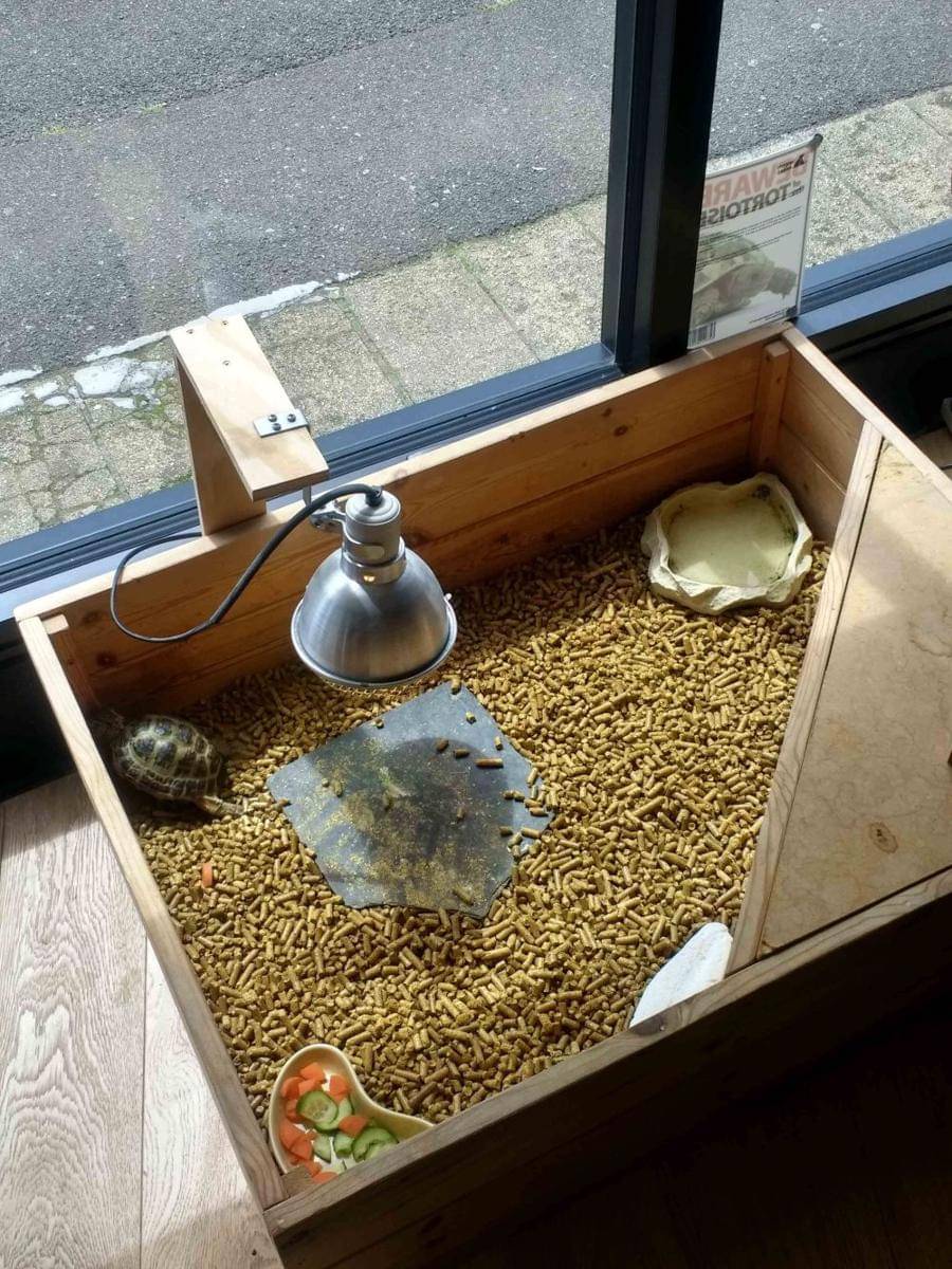 potret hal unik di dalam barbershop (reddit.com/user/redditusername4862)