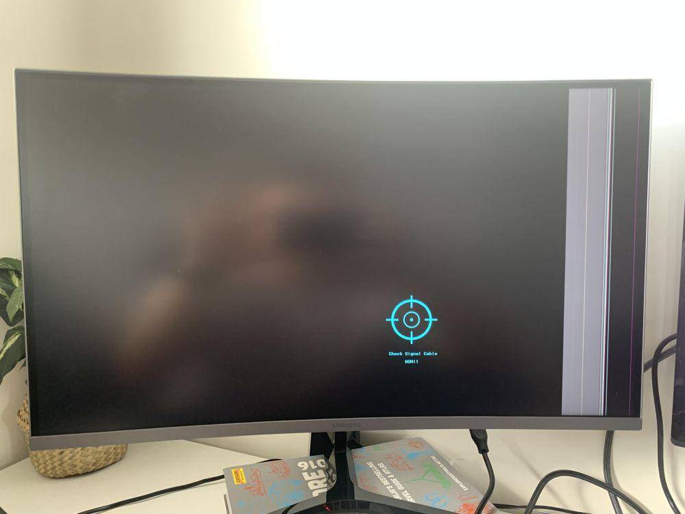 momen apes pas lagi WFH (reddit.com/user/mattym94)