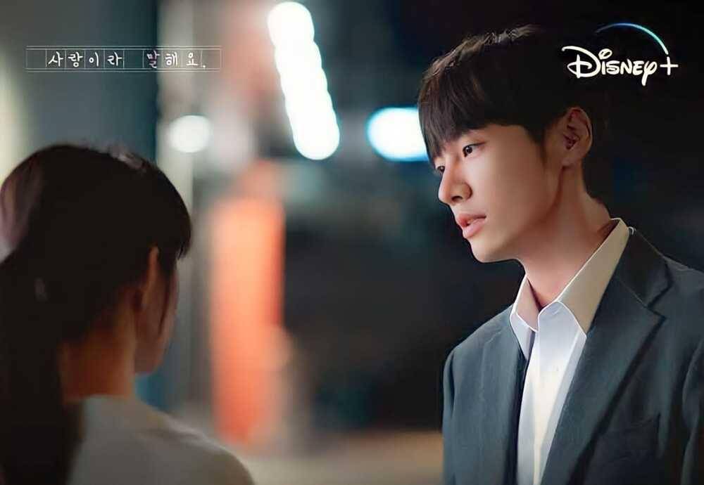 Kim Young Kwang di Call It Love (instagram.com/disneypluskr)