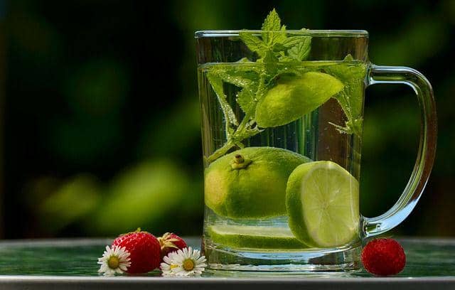 Ilustrasi Infused water dalam gelas (pixabay.com/congerdesign)