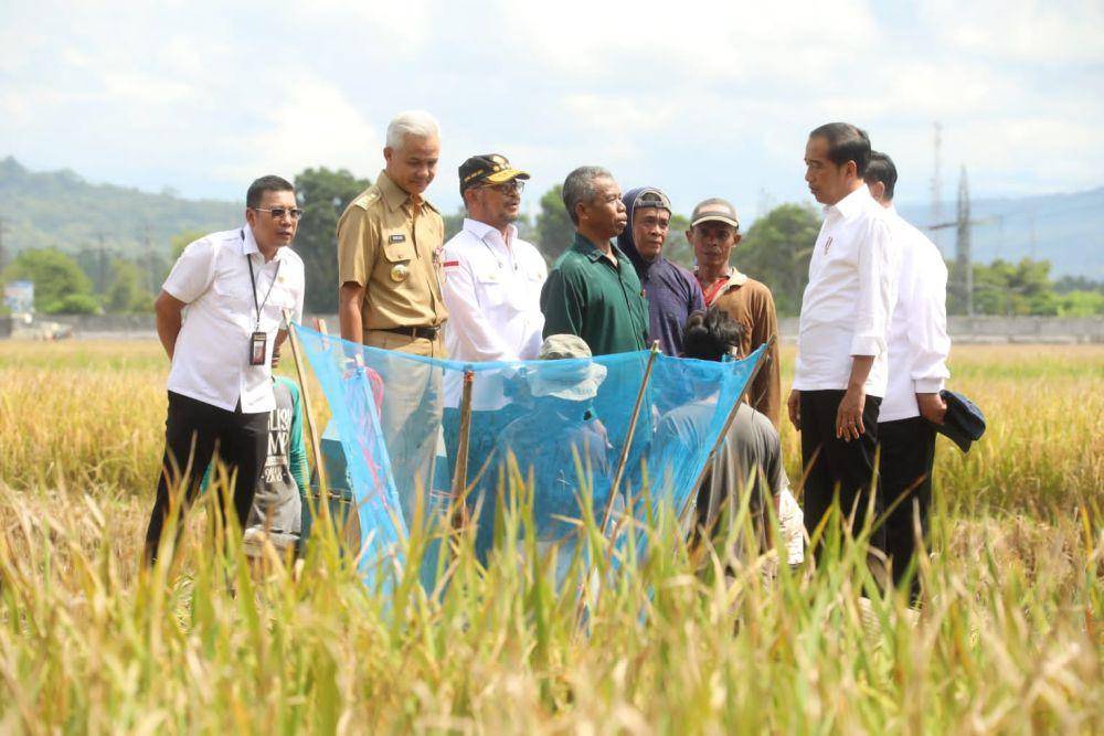 Presiden Joko Widodo melakukan panen raya padi di Desa Lajer Kecamatan Ambal Kabupaten Kebumen, Kamis (9/3) (Dok. Kementan)