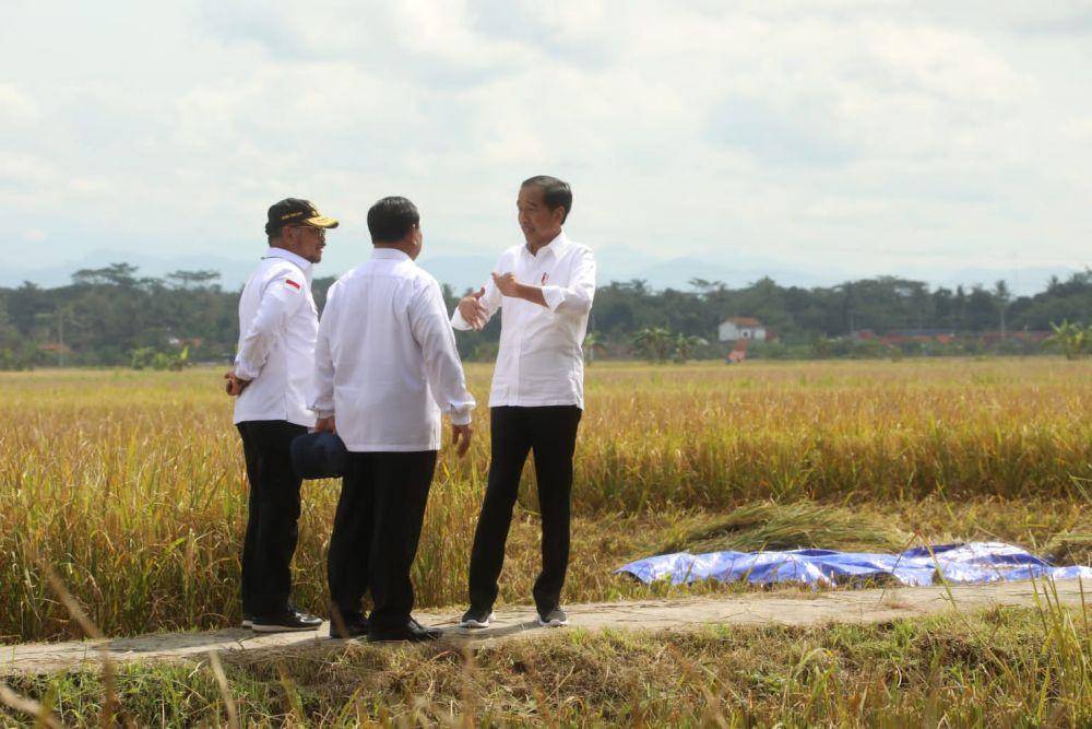 Presiden Joko Widodo melakukan panen raya padi di Desa Lajer Kecamatan Ambal Kabupaten Kebumen, Kamis (9/3) (Dok. Kementan)