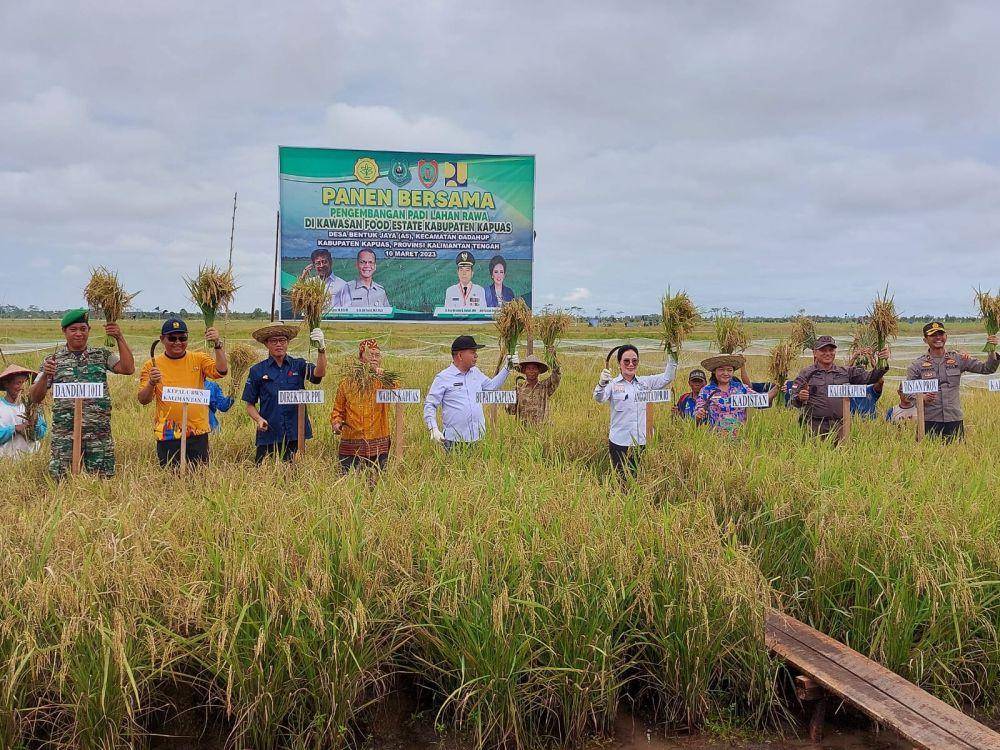 Panen Raya di Food Estate Kapuas (Dok. Kementan)