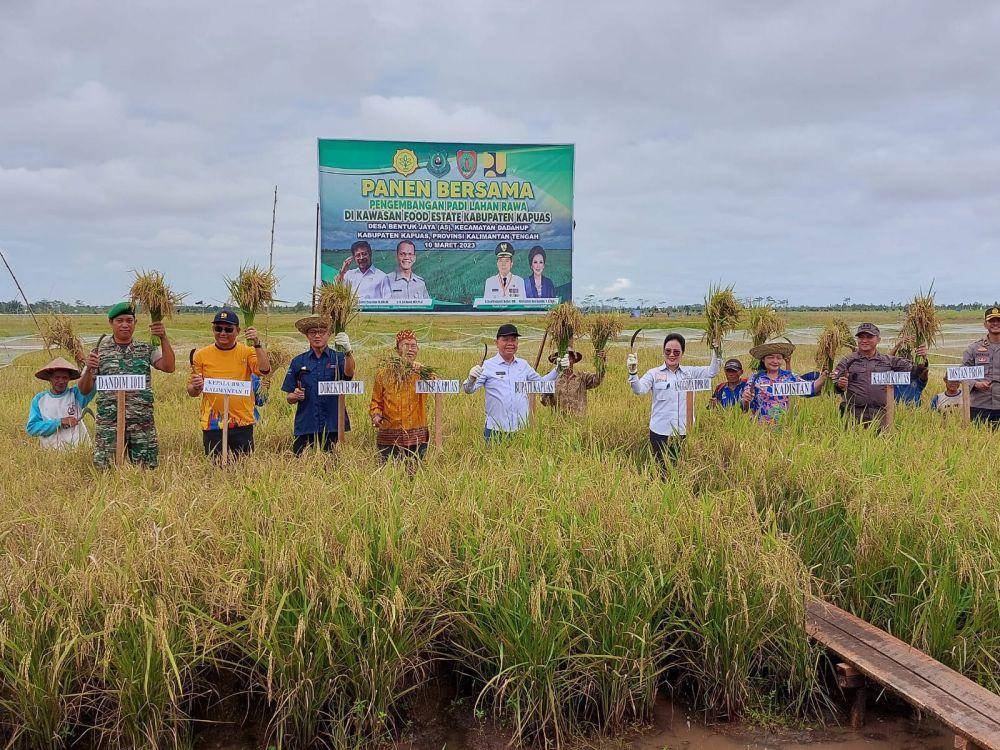 Panen Raya di Food Estate Kapuas (Dok. Kementan)