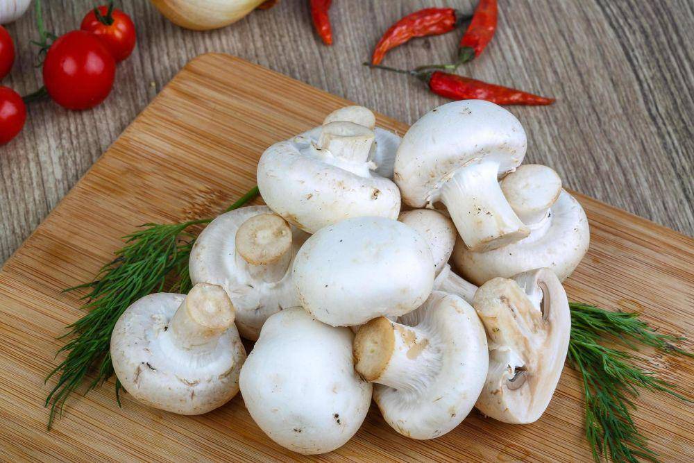 jamur champignon (vecteezy.com/Andrey Starostin)