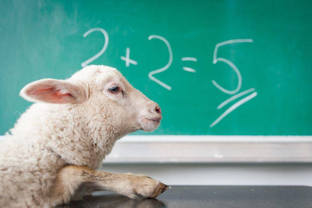 ilustrasi kambing melihat papan tulis (Unsplash/Michal Malton)
