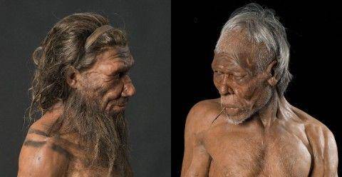 Homo Neanderthalensis dan Sapiens (nhm.ac.uk)