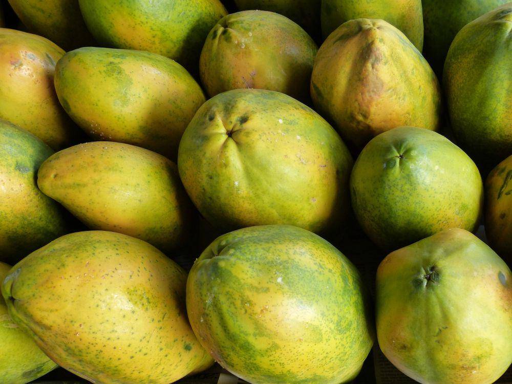 ilustrasi buah pepaya matang (pixabay.com/falco)
