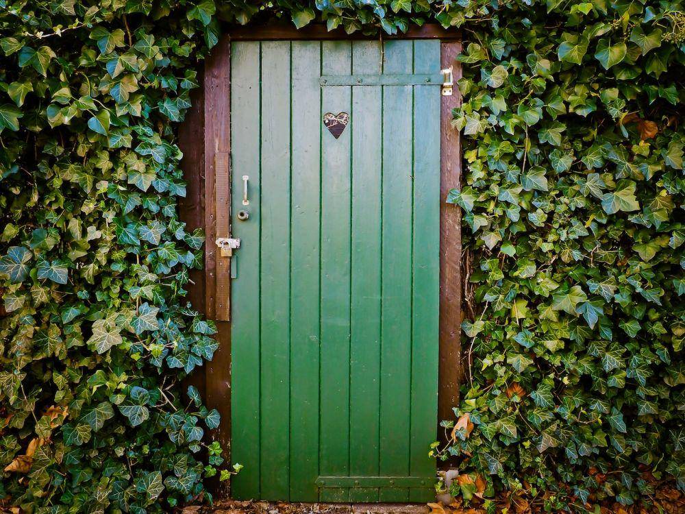 ilustrasi pintu (pexels.com/Pixabay)