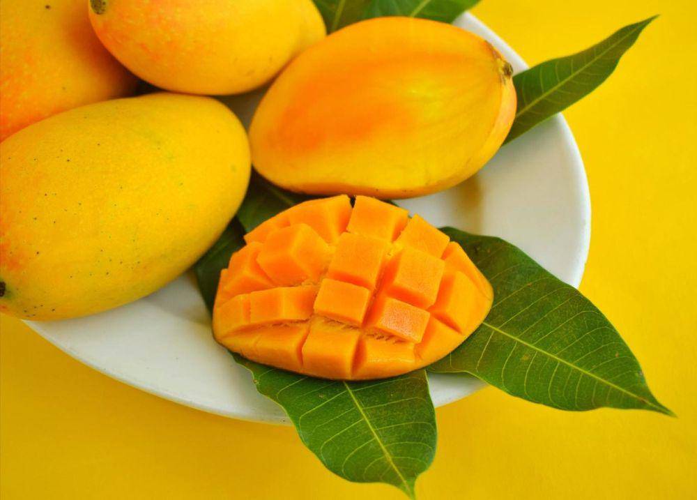 ilustrasi buah mangga (vecteezy.com/syamhri189778)