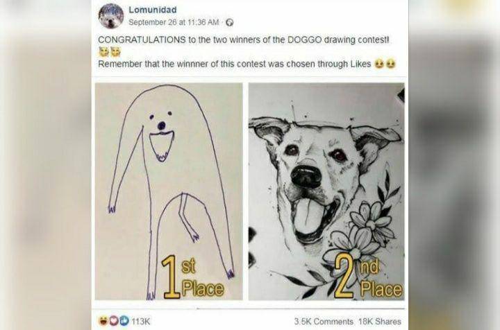 potret lucu demokrasi (reddit.com/MetaKLD)