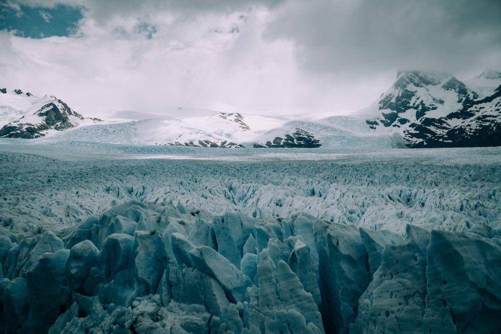 Unsplash/ Martin Sanchez