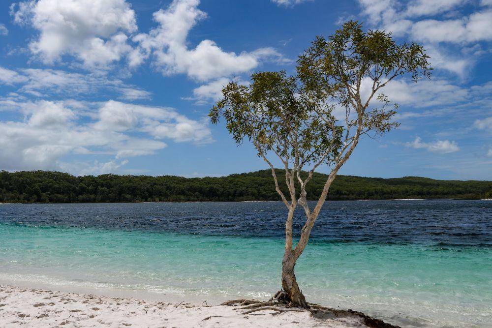 Potret Danau McKenzie di Australia (unsplash.com/mcnabit)