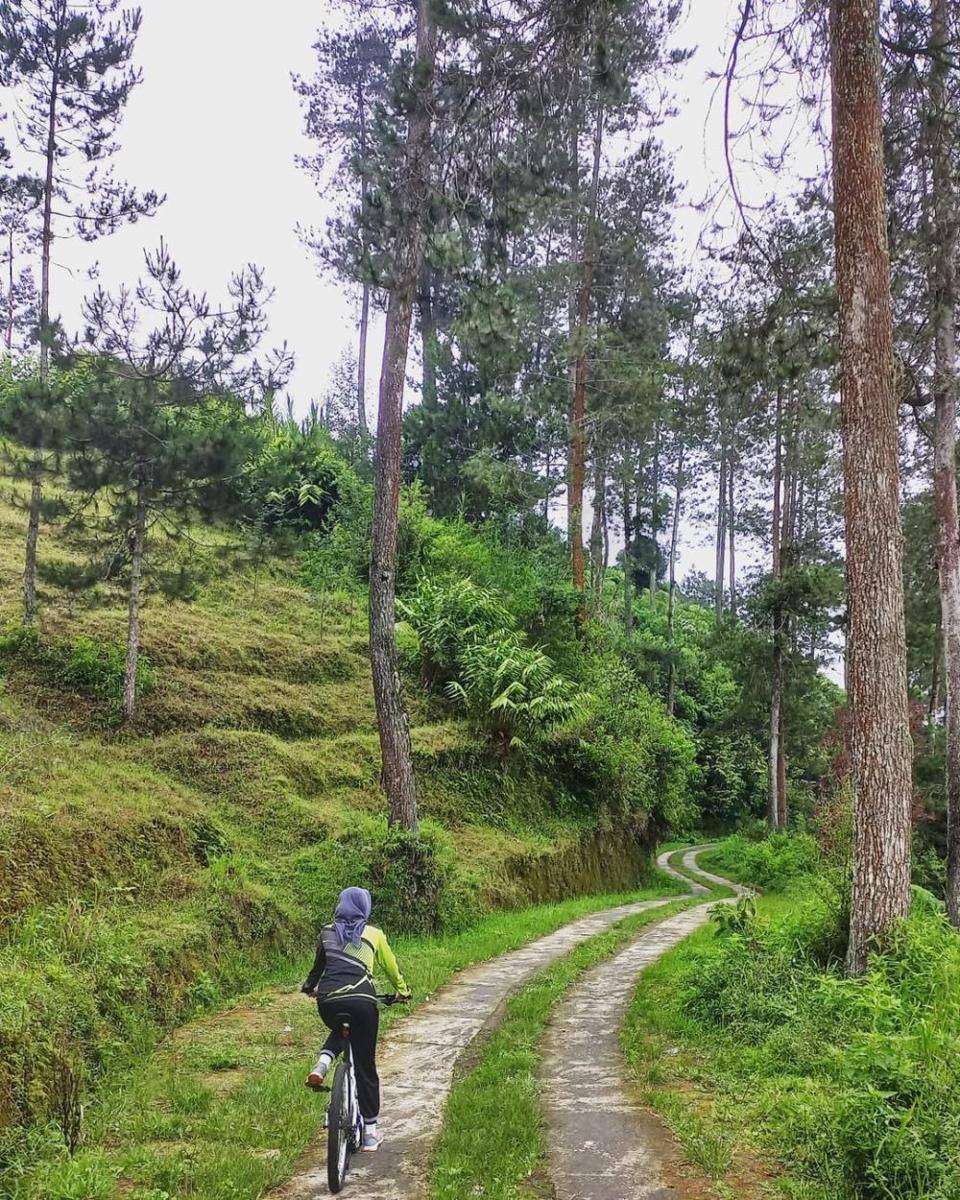 Bukit Grenden (instagram.com/nike_jatu_w)