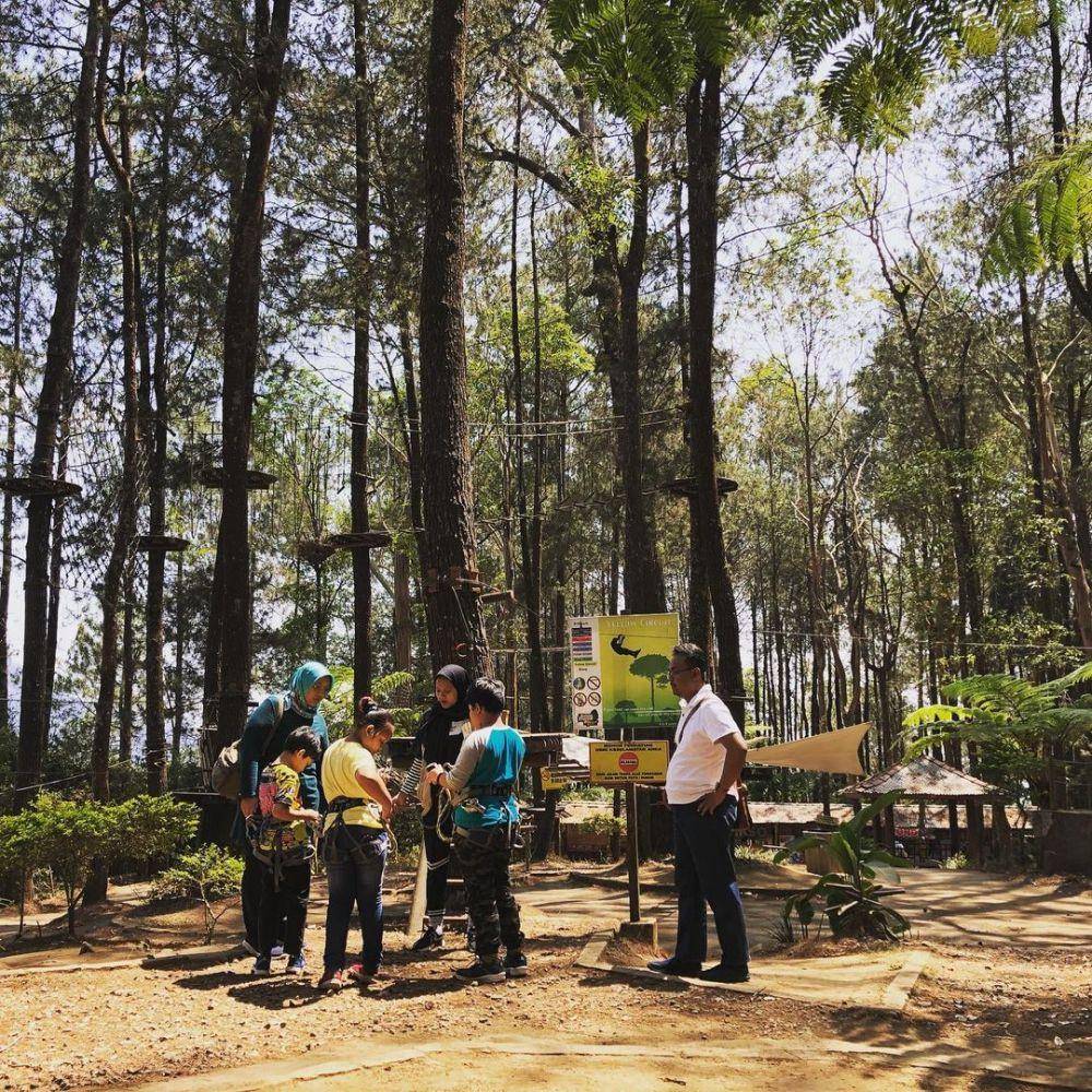 Treetop Kopeng (instagram.com/aminusahaberkah)