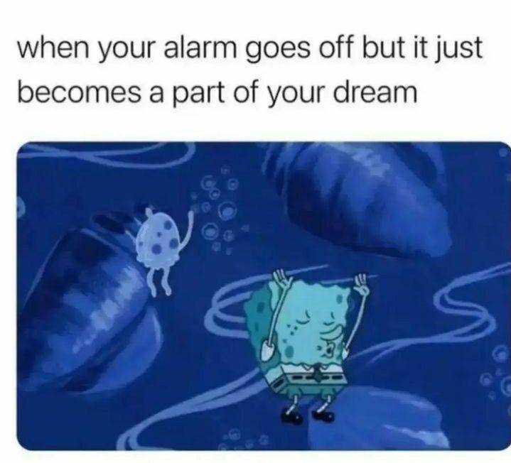 meme alarm (instagram.com/introverts_can_relates)