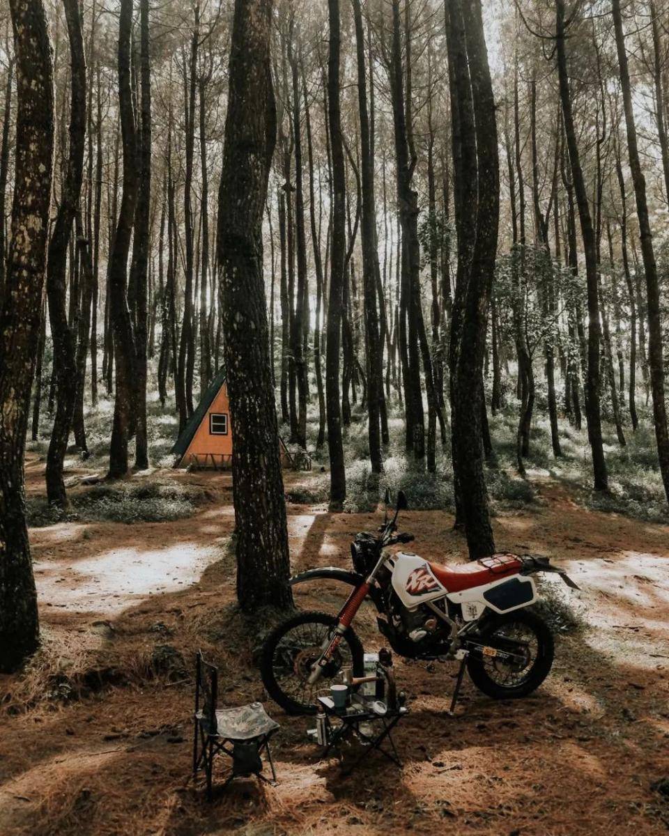 Hutan Pinus Kragilan (instagram.com/juangastrasenja)