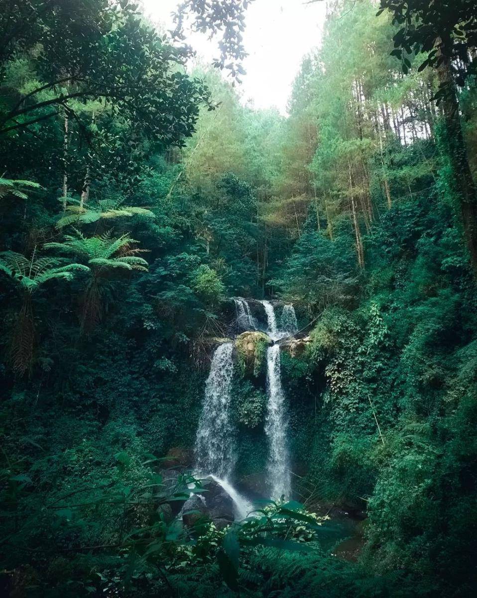 Air Terjun Grenjengan Kembar (instagram.com/fbryntzx__)
