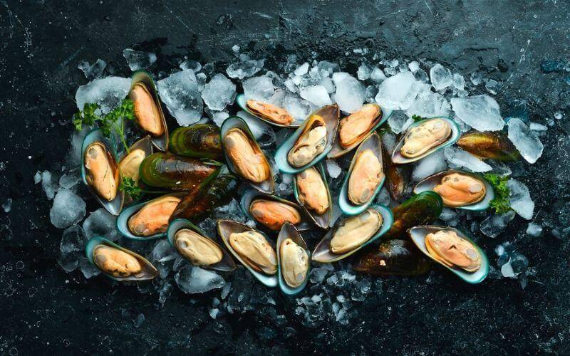 Ilustrasi kerang hijau (boatbasincafe.com)