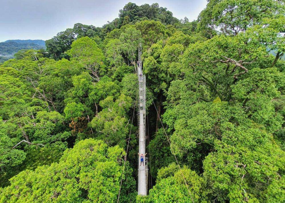 Ulu Temburong (instagram.com/danventures)