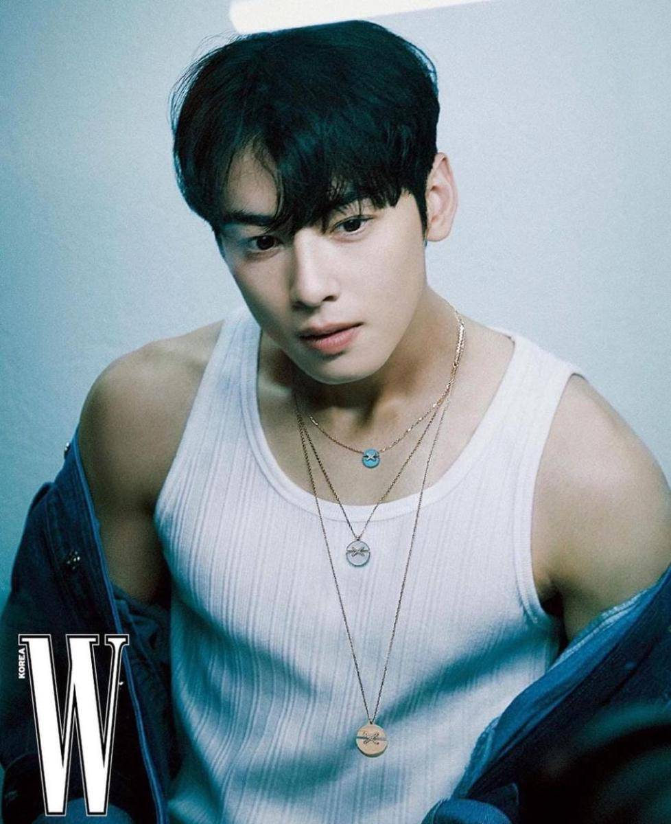 Cha Eun Woo (instagram.com/eunwo.o_c)