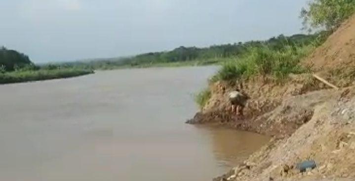 Menjaring Ikan di Sungai Progo, Haryono Tenggelam ‎