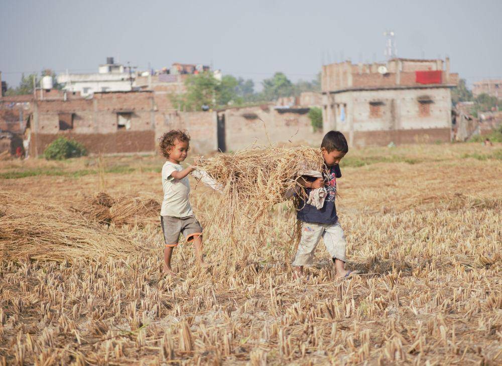 ilustrasi dua orang anak di sawah (pexels.com/Apurv Krishna)